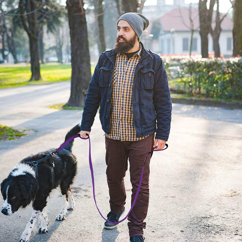 Large-Medium Two-Double Handle Dog-Leash - Heavy Duty 6Ft Foot Big Durable Nylon Padded Traffic Handle Leash for Medium to Large Dogs (New Purple)