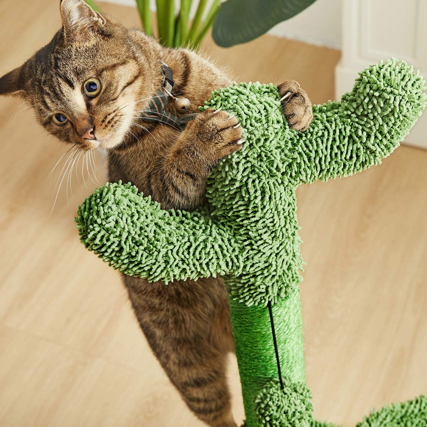 31" Cactus Cat Tree with Hammock and Full Wrapped Sisal Scratching Post for Small Cats Only Green Medium