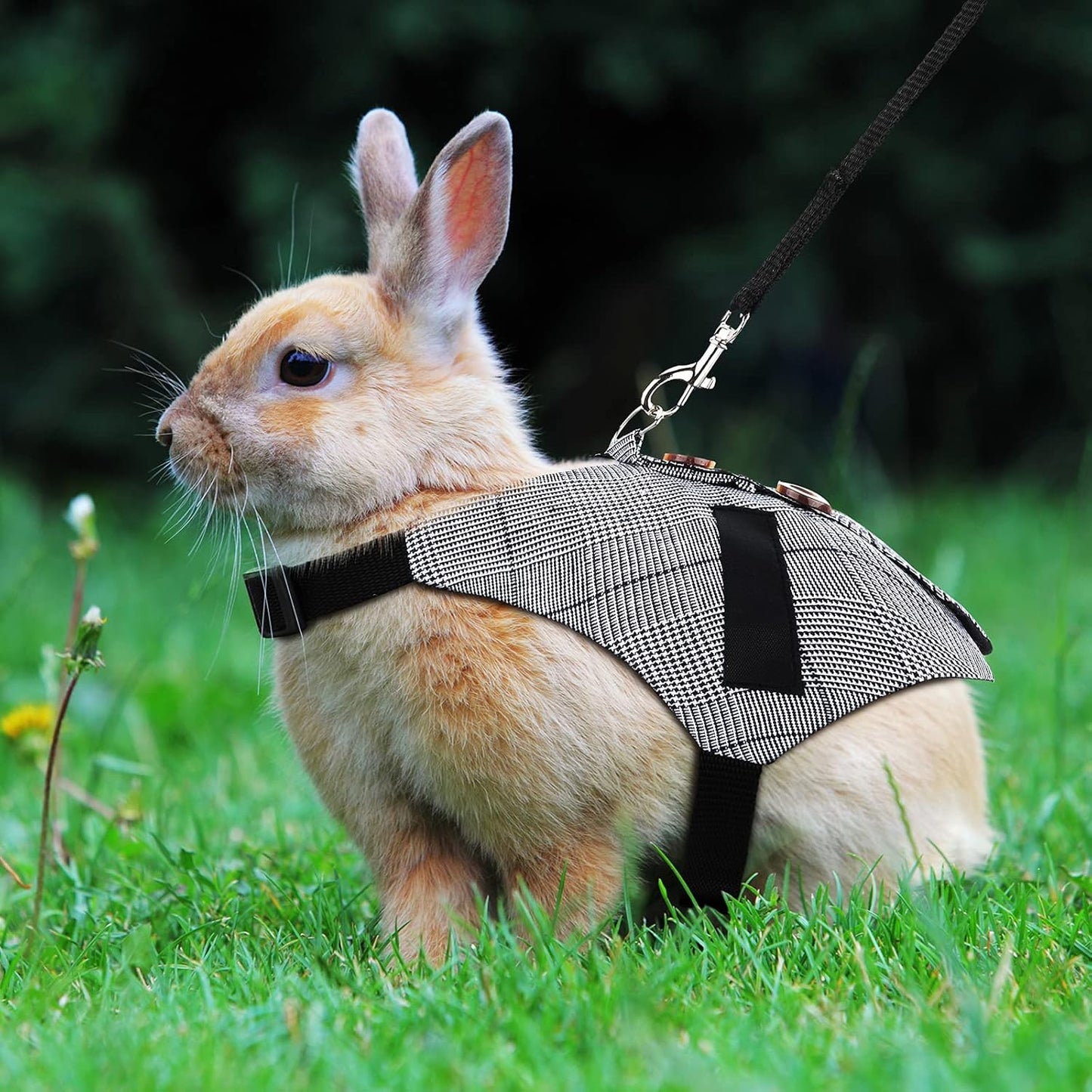 2 Pieces Rabbit Vest Harness and Leash Set Adjustable Formal Suit Style Adjustable Soft Bunny Harness for Bunny Rabbit Kitten Small Animal Walking (Medium)