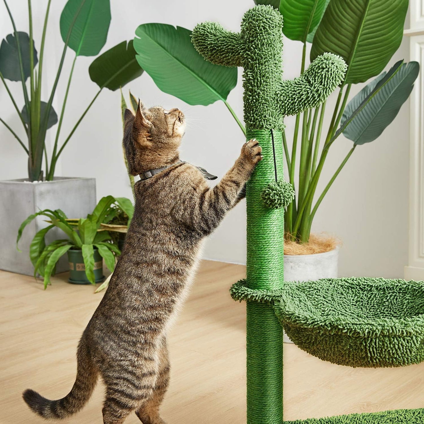 31" Cactus Cat Tree with Hammock and Full Wrapped Sisal Scratching Post for Small Cats Only Green Medium