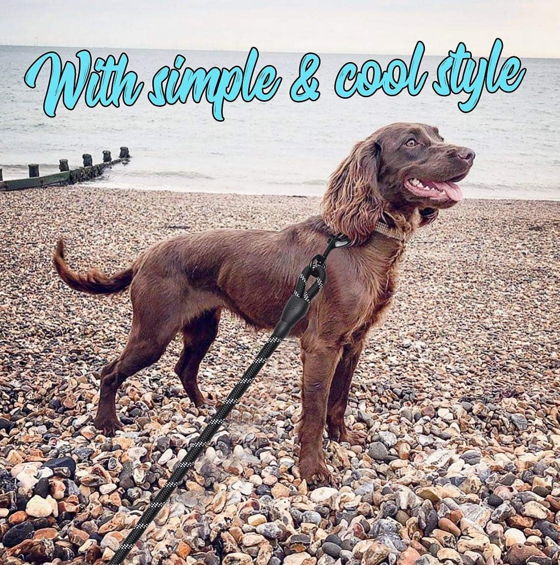 2 Pack Dog Leash 6 FT Thick Durable Nylon Rope - Comfortable Padded Handle - Highly Reflective Threads - Dog Leashes for Medium and Large Dogs with Collapsible Pet Bowl