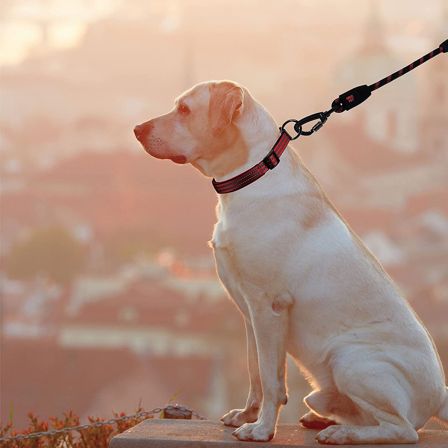 Kruz Short Traffic Leash - KZROPE5020-S8L - Soft Silicone Grip - Click & Lock Snap - Heavy-Duty Reflective Dog Rope for Security, Safety and Control - Walking, Running, Training - Orange - 1/2" X 20"
