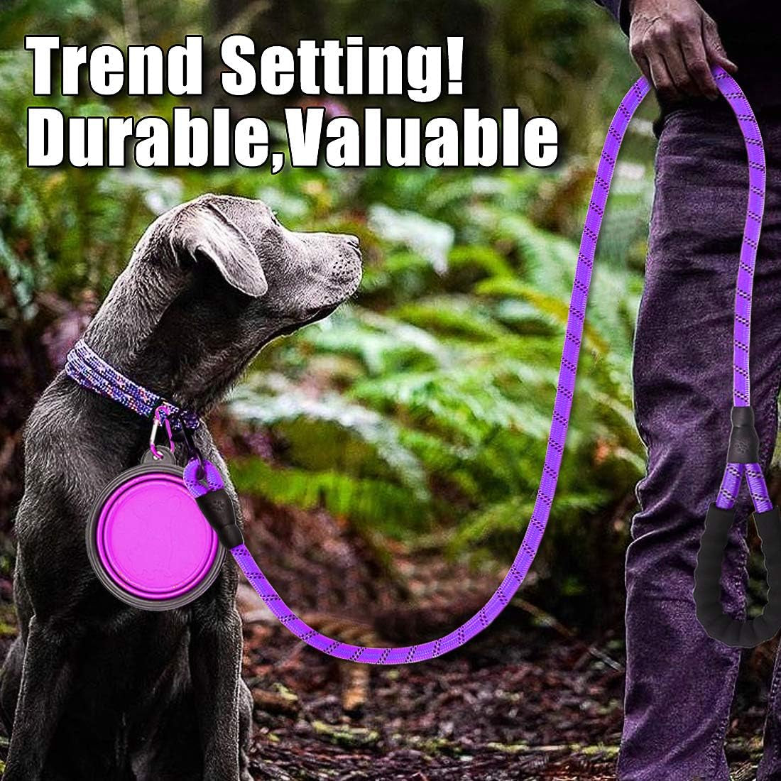 2 Pack Dog Leash 6 FT Thick Durable Nylon Rope - Comfortable Padded Handle - Highly Reflective Threads - Dog Leashes for Medium and Large Dogs with Collapsible Pet Bowl
