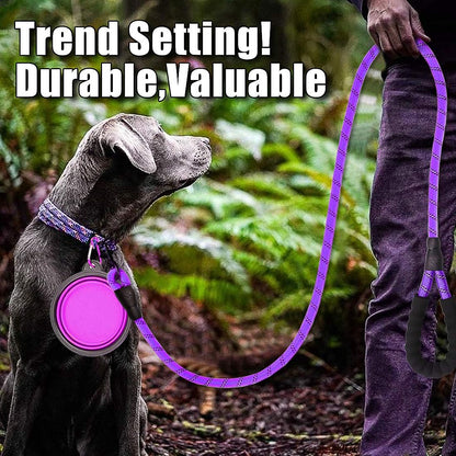 2 Pack Dog Leash 6 FT Thick Durable Nylon Rope - Comfortable Padded Handle - Highly Reflective Threads - Dog Leashes for Medium and Large Dogs with Collapsible Pet Bowl