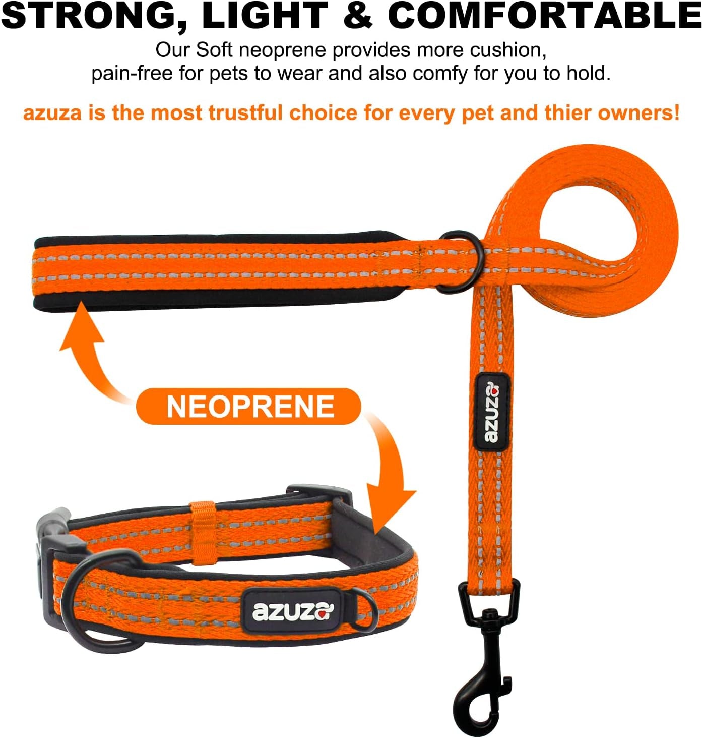 Durable Padded Dog Leash and Collar Set,Reflective Strip Extra Safe and Comfy for Large Dogs, Orange