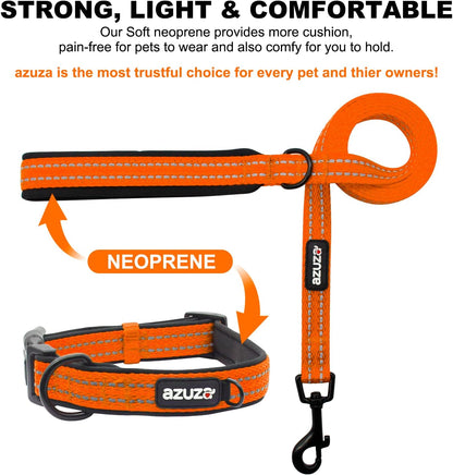Durable Padded Dog Leash and Collar Set,Reflective Strip Extra Safe and Comfy for Large Dogs, Orange