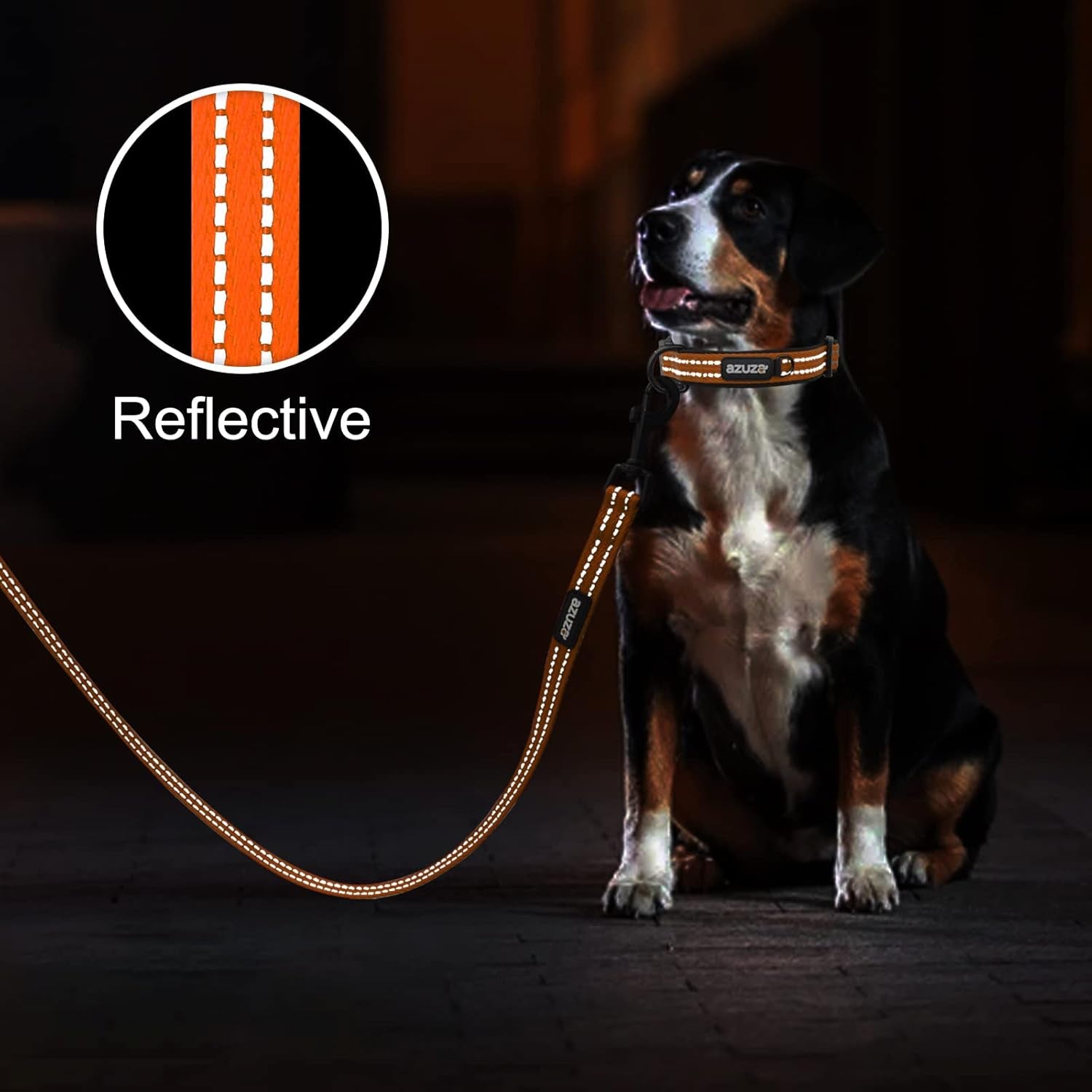 Durable Padded Dog Leash and Collar Set,Reflective Strip Extra Safe and Comfy for Large Dogs, Orange