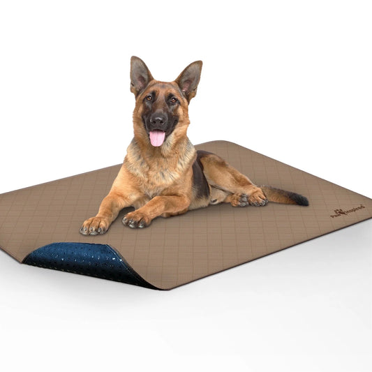 Washable Pee Pads for Dogs, Reusable Puppy Pads Pet Pee Pads, Wee Wee Pads Extra Large for Potty Training Mats | Waterproof, Non-Slip Bottom (48'' X 60'', 1 Count)