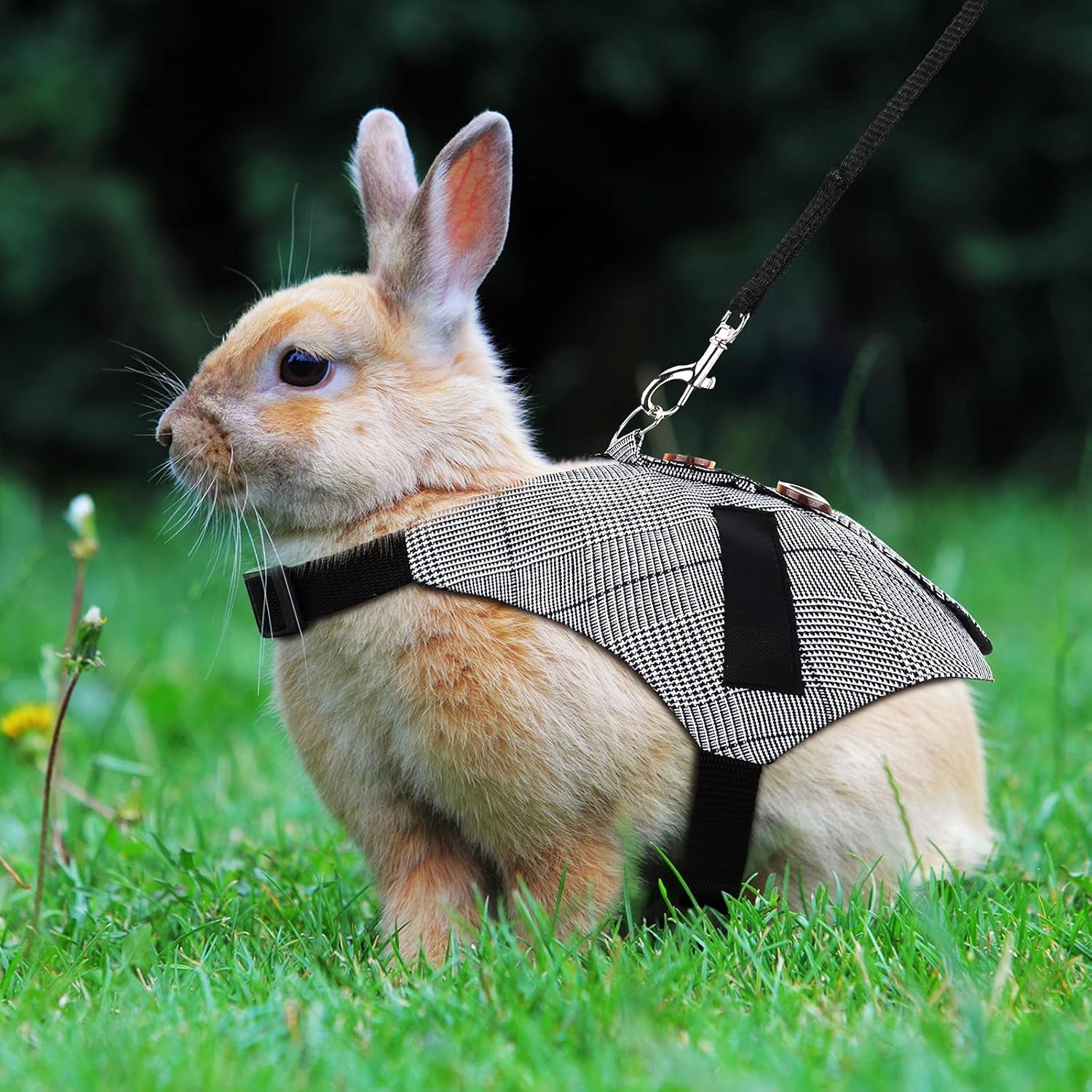 2 Pieces Rabbit Vest Harness and Leash Set Adjustable Formal Suit Style Adjustable Soft Bunny Harness for Bunny Rabbit Kitten Small Animal Walking (Medium)