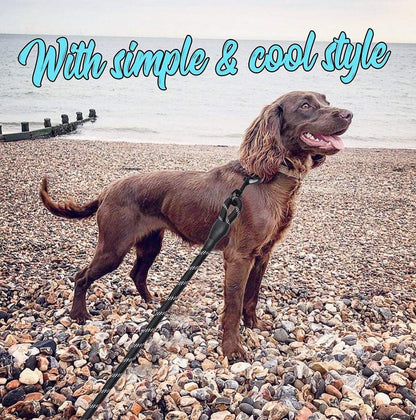 2 Pack Dog Leash 6 FT Thick Durable Nylon Rope - Comfortable Padded Handle - Highly Reflective Threads - Dog Leashes for Medium and Large Dogs with Collapsible Pet Bowl