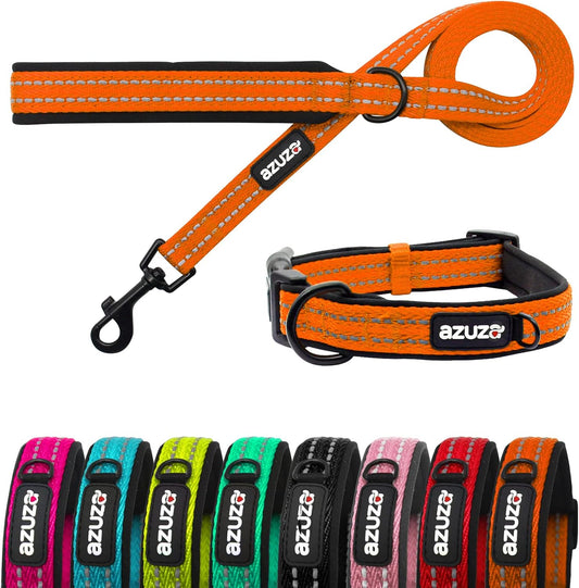 Durable Padded Dog Leash and Collar Set,Reflective Strip Extra Safe and Comfy for Large Dogs, Orange